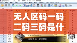 无人区码一码二码三码是什么意思之详细解读与分析