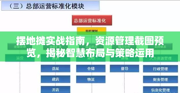 摆地摊实战指南，资源管理截图预览，揭秘智慧布局与策略运用