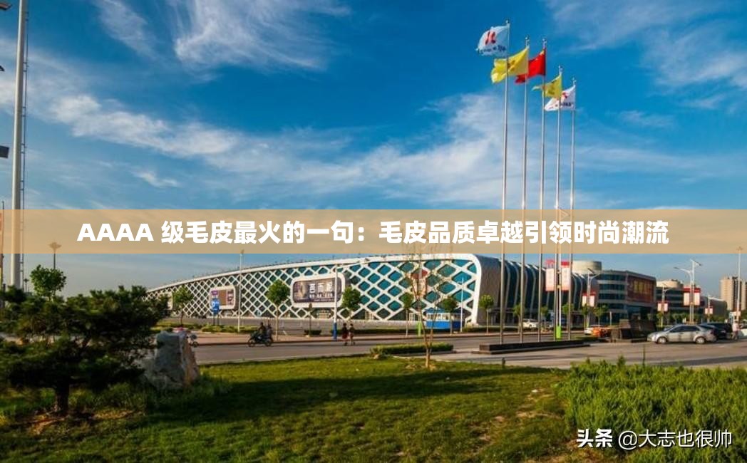 AAAA 级毛皮最火的一句：毛皮品质卓越引领时尚潮流