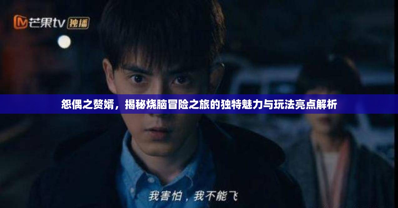 怨偶之赘婿，揭秘烧脑冒险之旅的独特魅力与玩法亮点解析