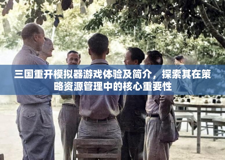 三国重开模拟器游戏体验及简介，探索其在策略资源管理中的核心重要性