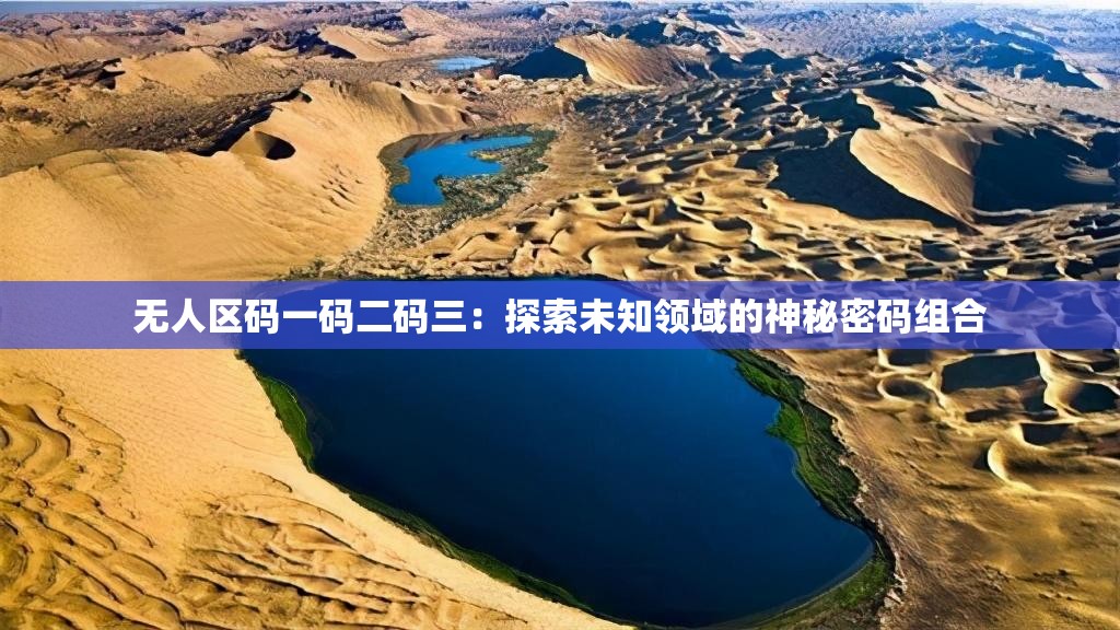 无人区码一码二码三：探索未知领域的神秘密码组合