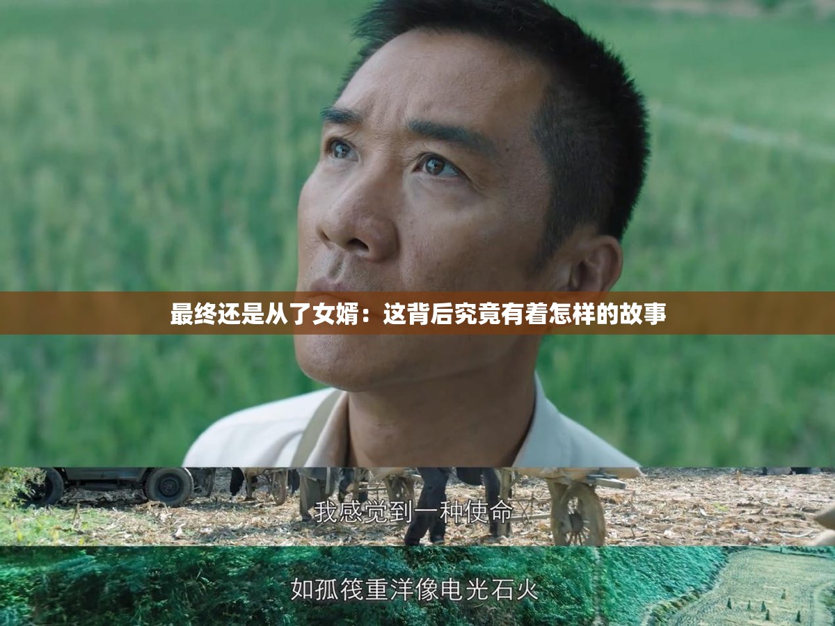 最终还是从了女婿：这背后究竟有着怎样的故事