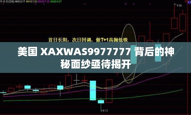 美国 XAXWAS9977777 背后的神秘面纱亟待揭开