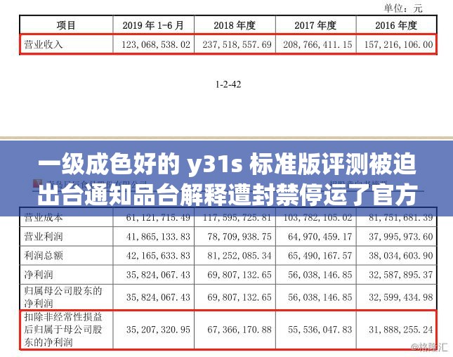 一级成色好的 y31s 标准版评测被迫出台通知品台解释遭封禁停运了官方这到底是怎么回事