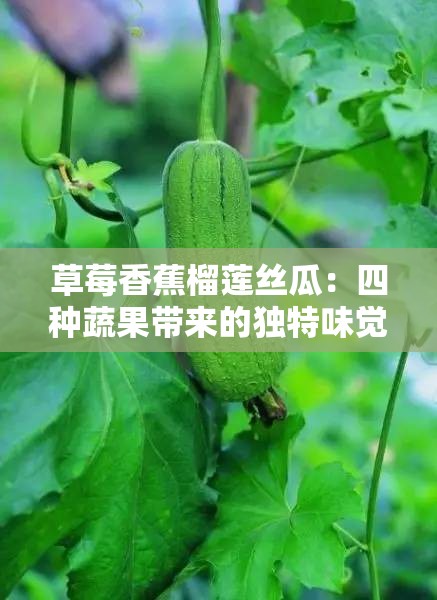 草莓香蕉榴莲丝瓜：四种蔬果带来的独特味觉体验之旅