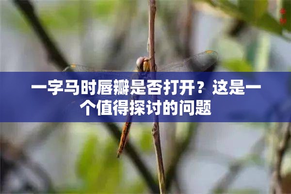 一字马时唇瓣是否打开？这是一个值得探讨的问题