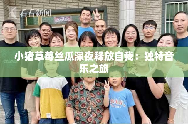 小猪草莓丝瓜深夜释放自我：独特音乐之旅