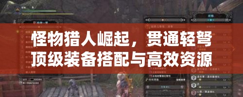 怪物猎人崛起，贯通轻弩顶级装备搭配与高效资源管理策略指南