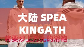 大陆 SPEAKINGATHOME 在哪里播放具体播出平台及相关信息