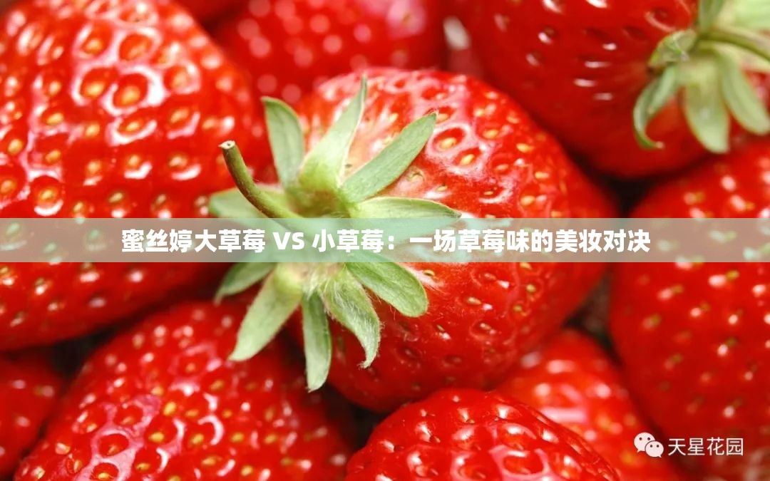 蜜丝婷大草莓 VS 小草莓：一场草莓味的美妆对决