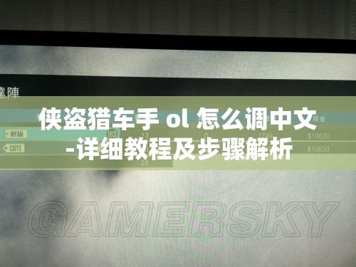 侠盗猎车手 ol 怎么调中文-详细教程及步骤解析