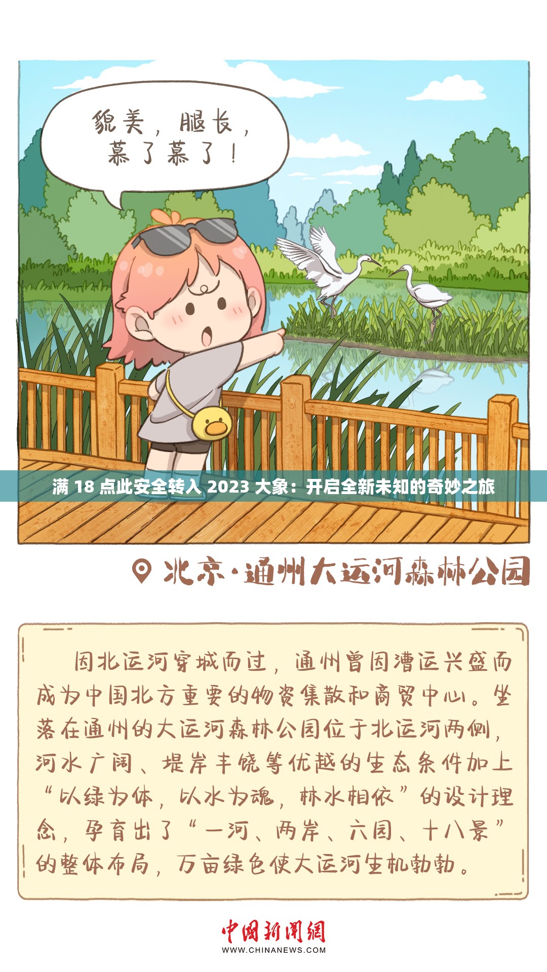满 18 点此安全转入 2023 大象：开启全新未知的奇妙之旅