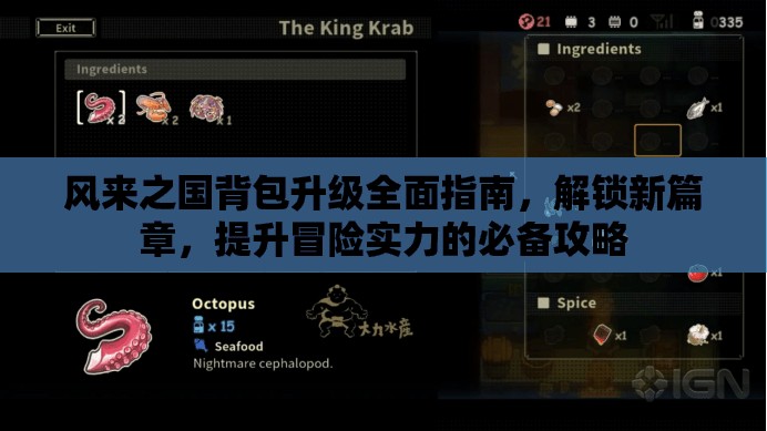 风来之国背包升级全面指南，解锁新篇章，提升冒险实力的必备攻略