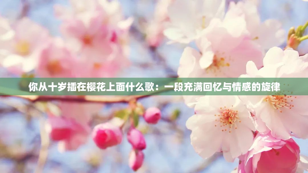 你从十岁插在樱花上面什么歌：一段充满回忆与情感的旋律