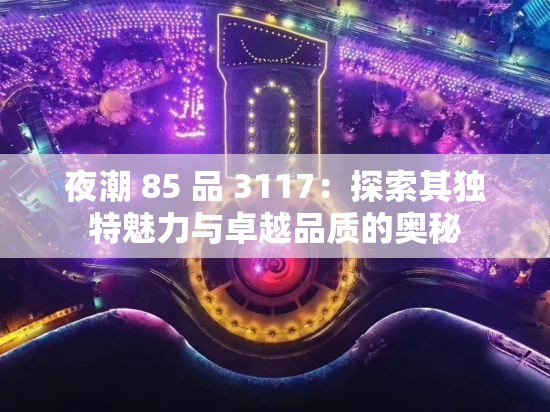 夜潮 85 品 3117：探索其独特魅力与卓越品质的奥秘