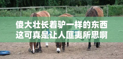 傻大壮长着驴一样的东西这可真是让人匪夷所思啊