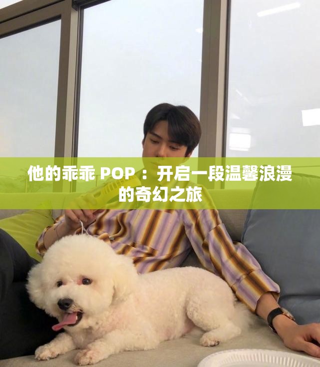 他的乖乖 POP ：开启一段温馨浪漫的奇幻之旅