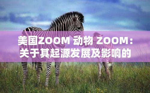 美国ZOOM 动物 ZOOM：关于其起源发展及影响的深入探讨