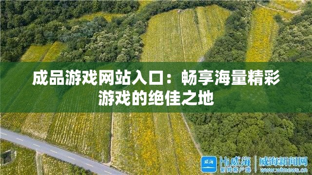 成品游戏网站入口：畅享海量精彩游戏的绝佳之地