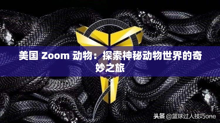 美国 Zoom 动物：探索神秘动物世界的奇妙之旅