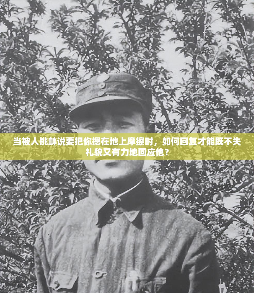当被人挑衅说要把你摁在地上摩擦时，如何回复才能既不失礼貌又有力地回应他？