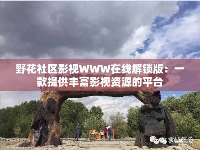 野花社区影视WWW在线解锁版：一款提供丰富影视资源的平台
