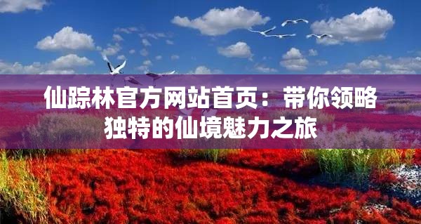 仙踪林官方网站首页：带你领略独特的仙境魅力之旅