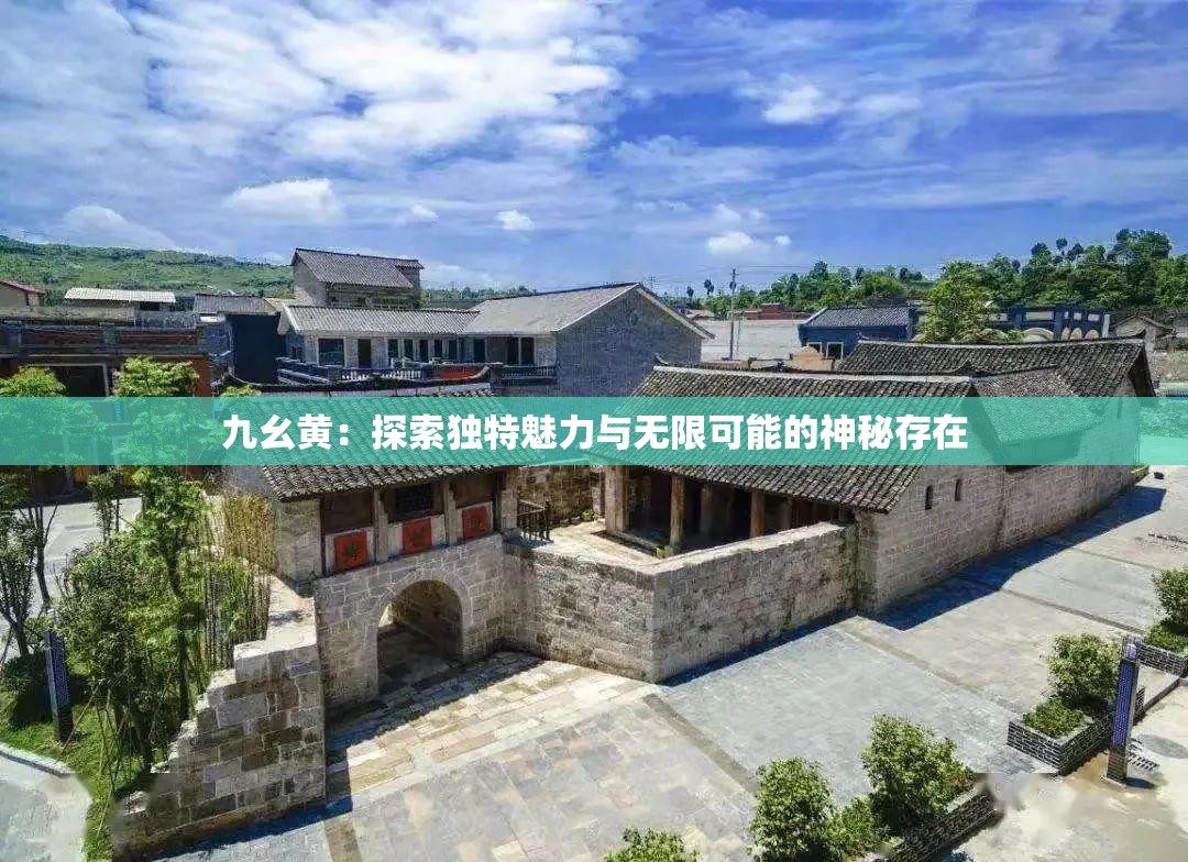 九幺黄：探索独特魅力与无限可能的神秘存在
