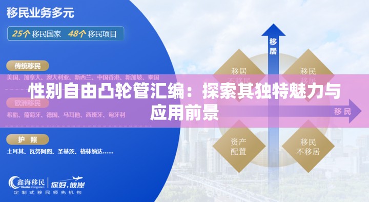 性别自由凸轮管汇编：探索其独特魅力与应用前景