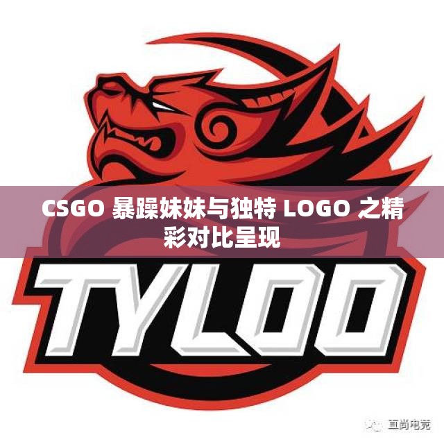 CSGO 暴躁妹妹与独特 LOGO 之精彩对比呈现