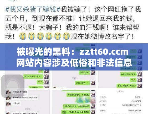 被曝光的黑料：zztt60.ccm 网站内容涉及低俗和非法信息