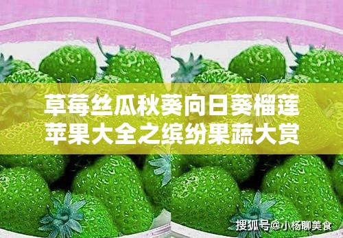 草莓丝瓜秋葵向日葵榴莲苹果大全之缤纷果蔬大赏