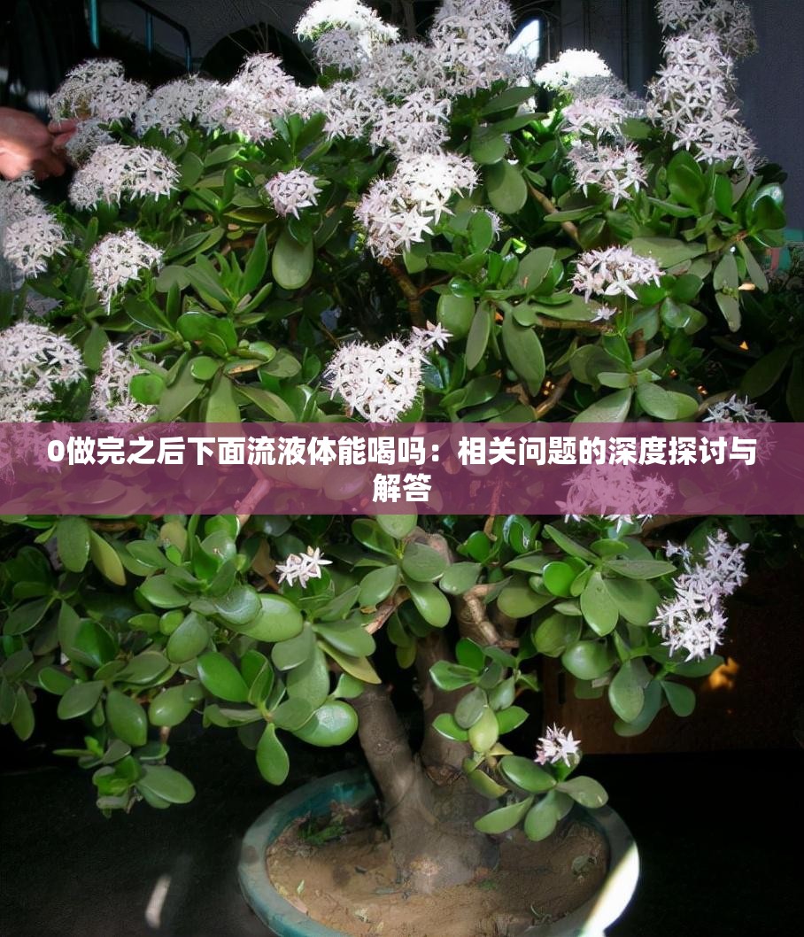 0做完之后下面流液体能喝吗：相关问题的深度探讨与解答