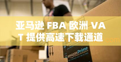 亚马逊 FBA 欧洲 VAT 提供高速下载通道助力跨境电商发展新征程