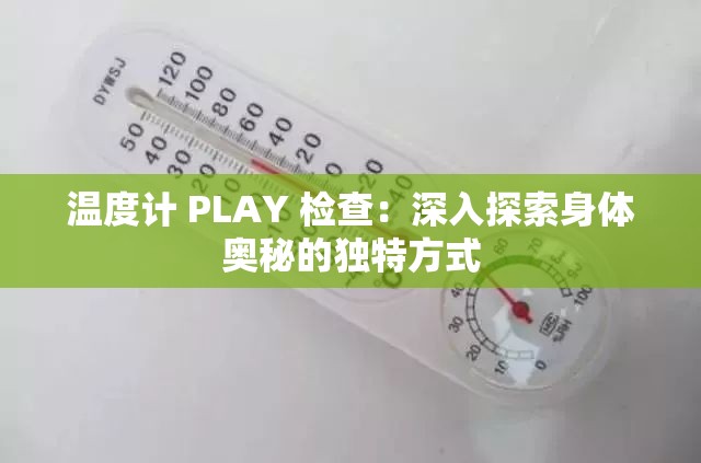 温度计 PLAY 检查：深入探索身体奥秘的独特方式