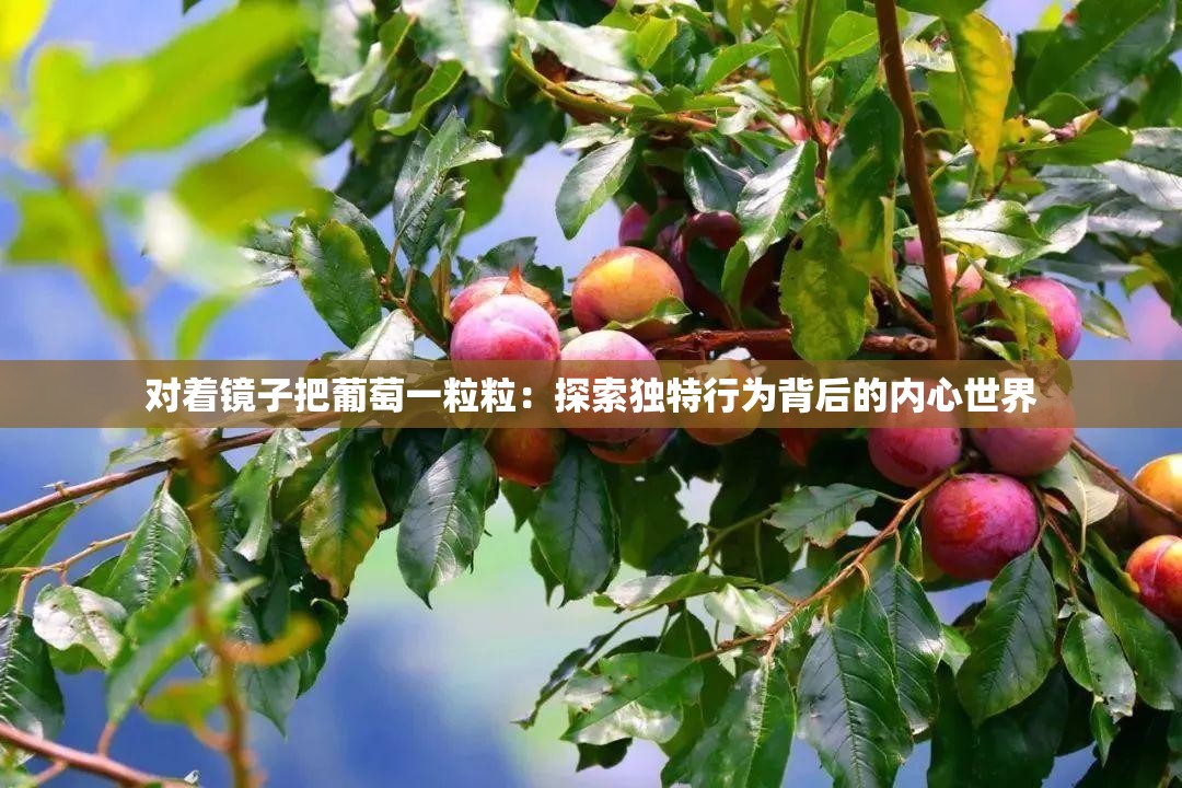 对着镜子把葡萄一粒粒：探索独特行为背后的内心世界