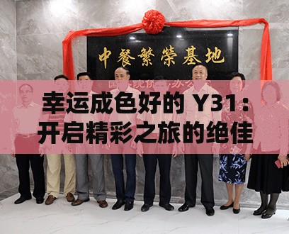 幸运成色好的 Y31：开启精彩之旅的绝佳选择
