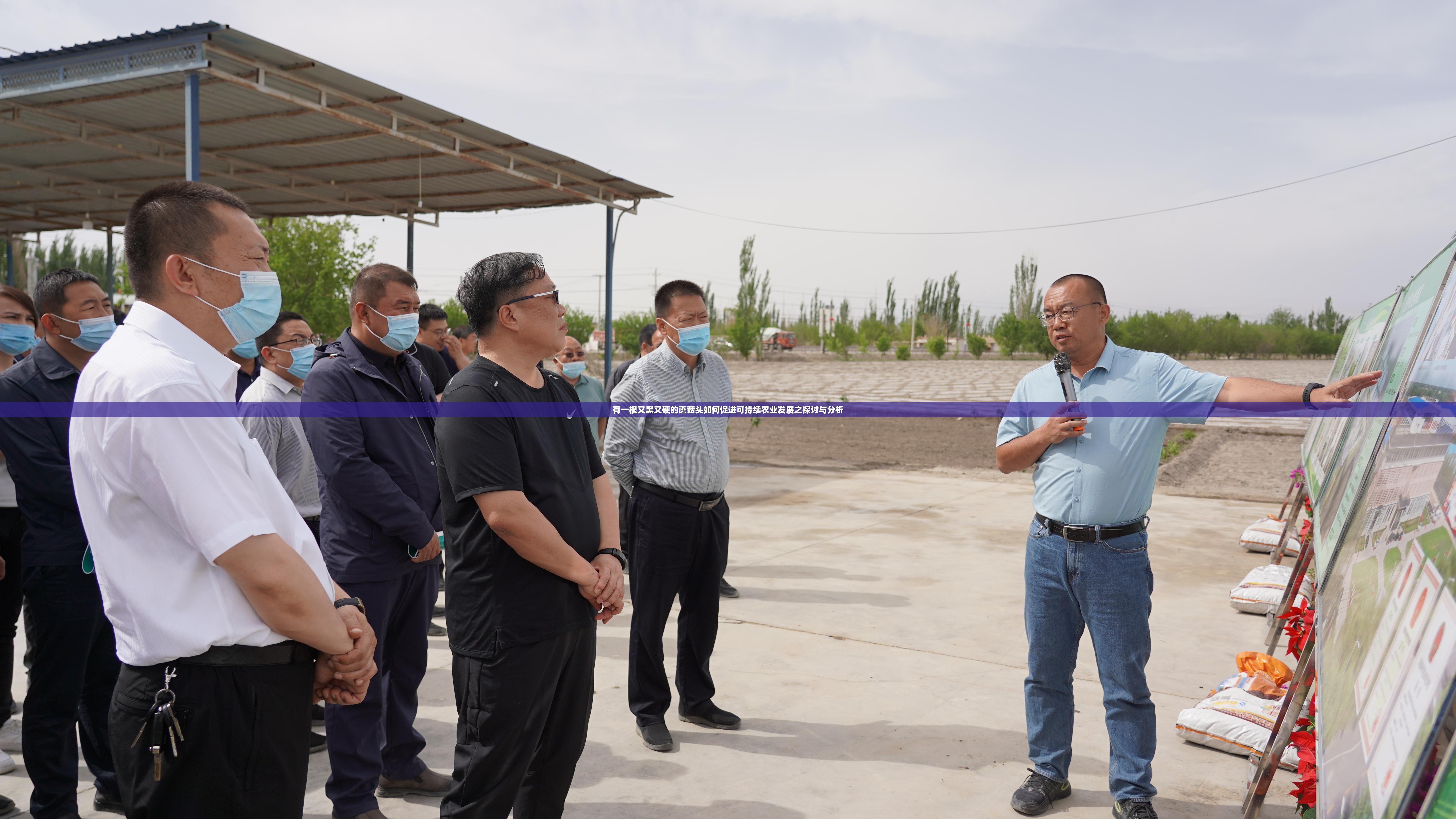 有一根又黑又硬的蘑菇头如何促进可持续农业发展之探讨与分析