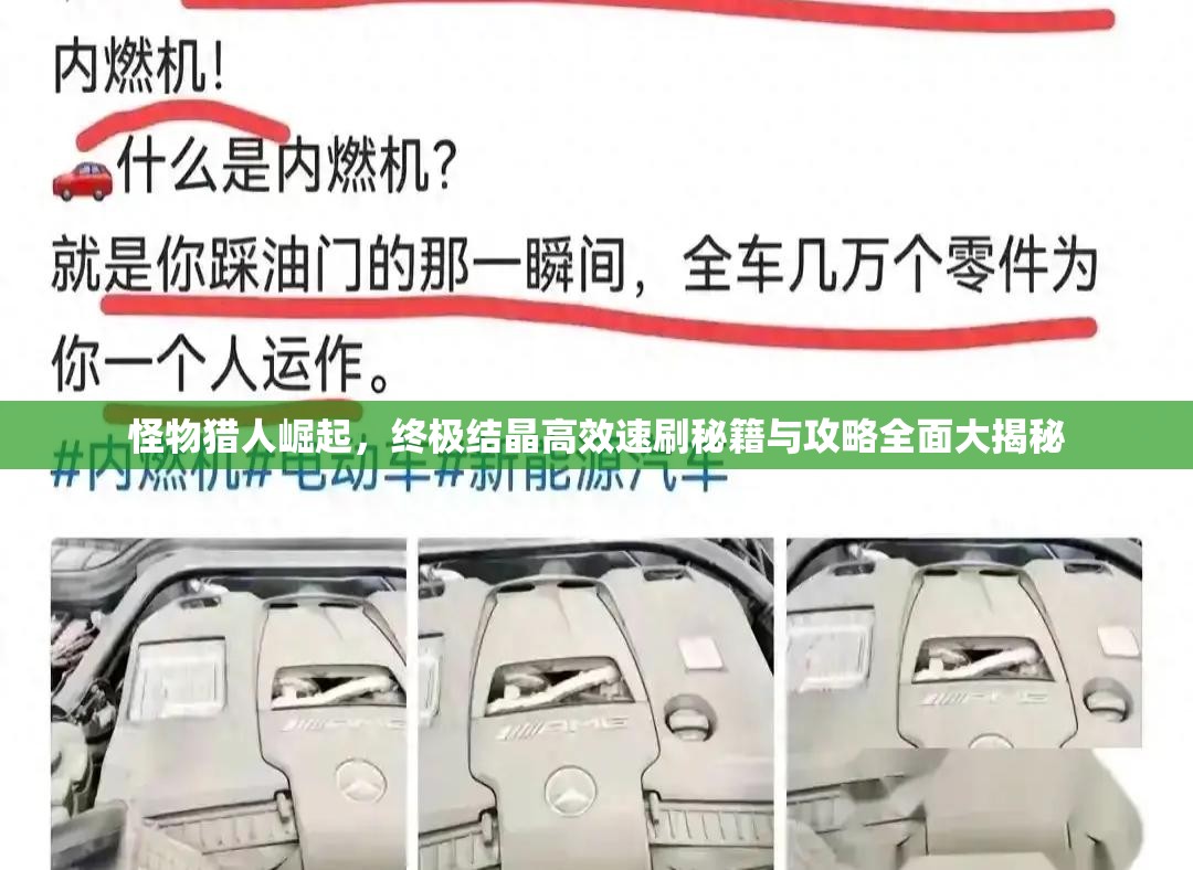 怪物猎人崛起，终极结晶高效速刷秘籍与攻略全面大揭秘
