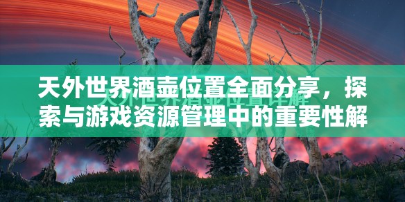天外世界酒壶位置全面分享，探索与游戏资源管理中的重要性解析