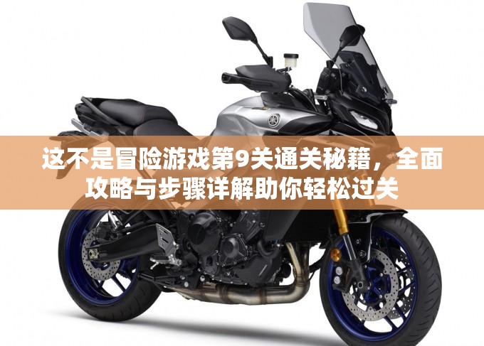这不是冒险游戏第9关通关秘籍，全面攻略与步骤详解助你轻松过关