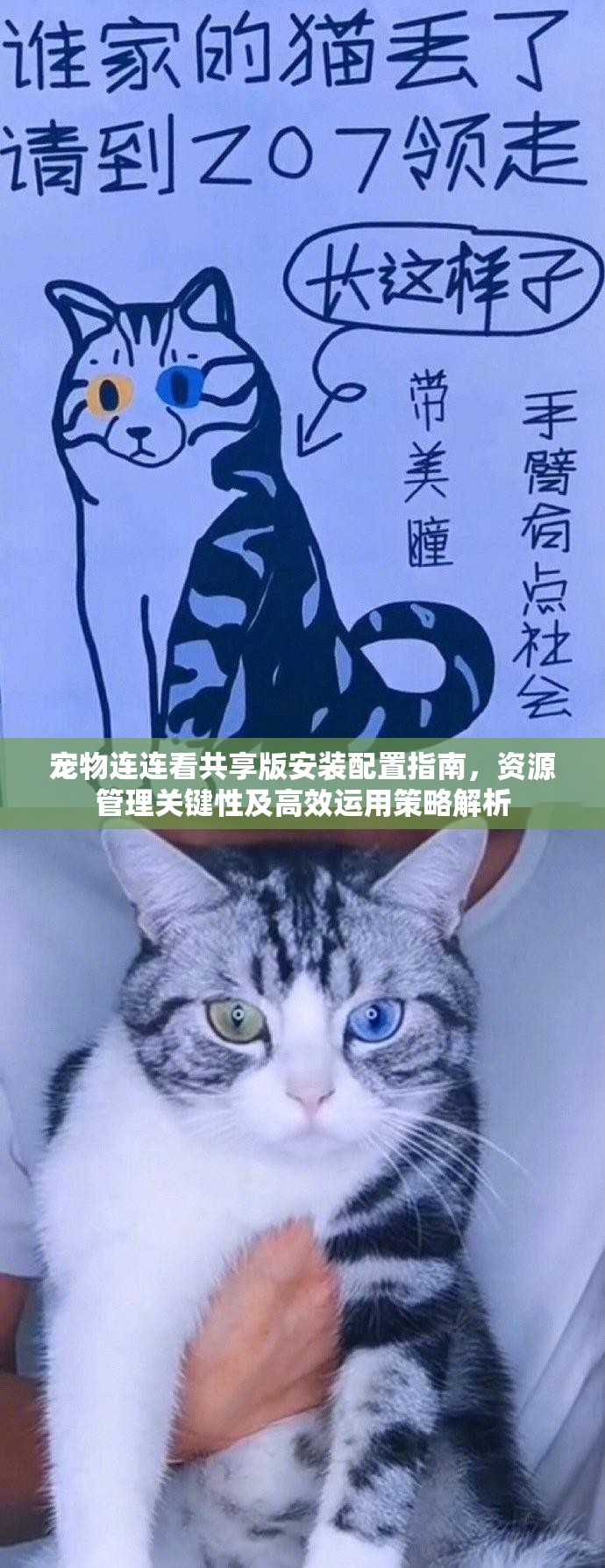 宠物连连看共享版安装配置指南，资源管理关键性及高效运用策略解析