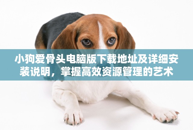 小狗爱骨头电脑版下载地址及详细安装说明，掌握高效资源管理的艺术