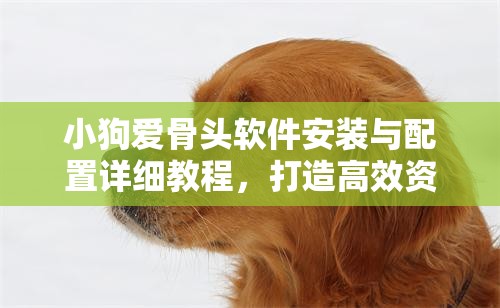 小狗爱骨头软件安装与配置详细教程，打造高效资源管理的必备指南