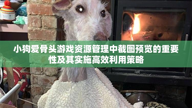 小狗爱骨头游戏资源管理中截图预览的重要性及其实施高效利用策略
