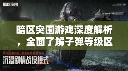 暗区突围游戏深度解析，全面了解子弹等级区分与选择攻略