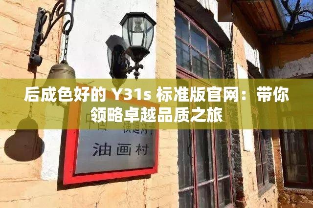 后成色好的 Y31s 标准版官网：带你领略卓越品质之旅