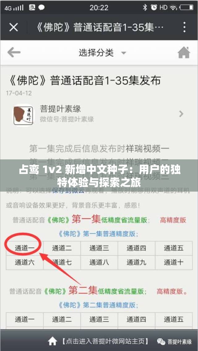 占鸾 1v2 新增中文种子：用户的独特体验与探索之旅