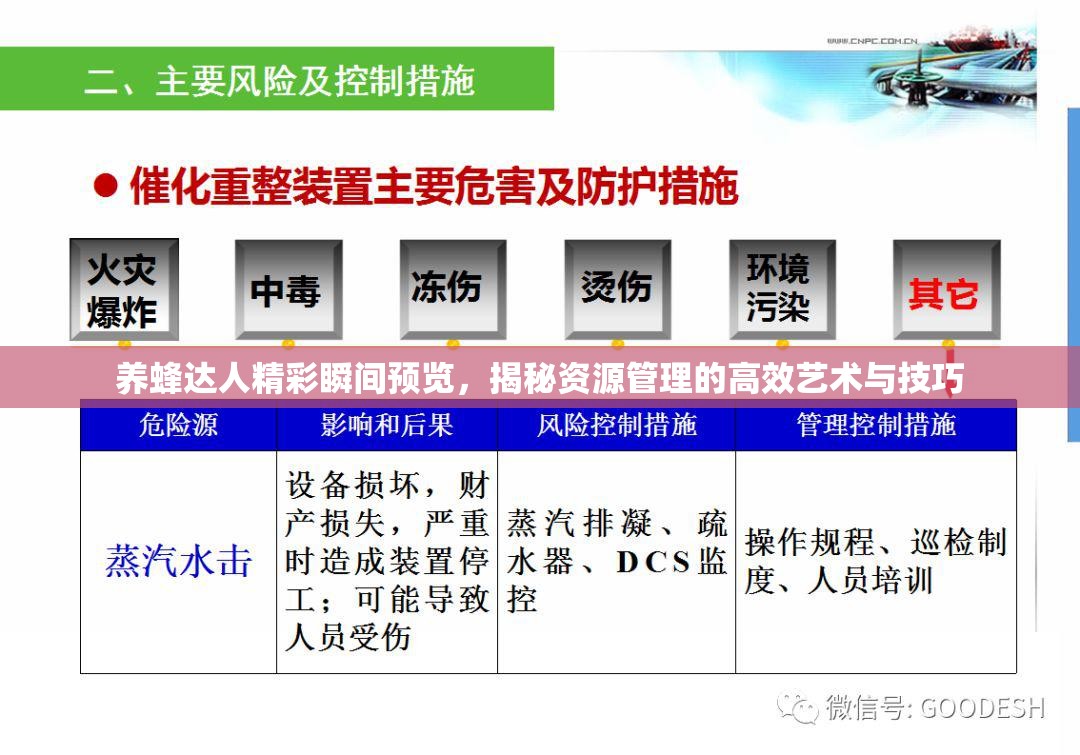 养蜂达人精彩瞬间预览，揭秘资源管理的高效艺术与技巧